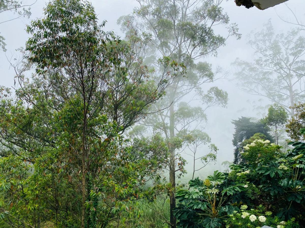 Aurora View Inn Haputale Bagian luar foto