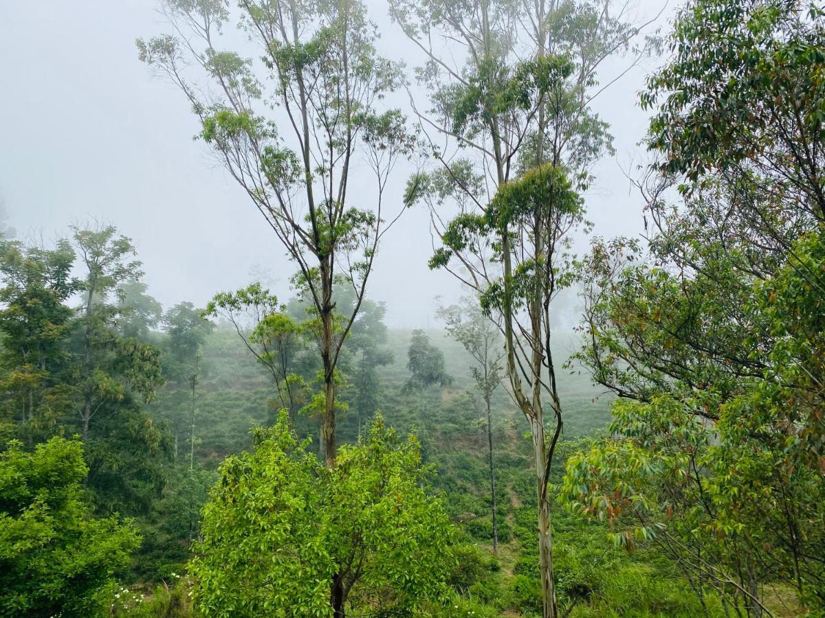 Aurora View Inn Haputale Bagian luar foto